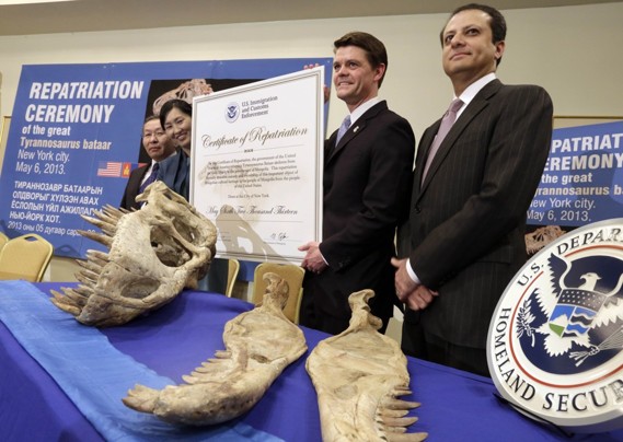 الولايات المتحدة الأمريكية: عودة الهيكل العظمي للديناصور المتنازع عليه