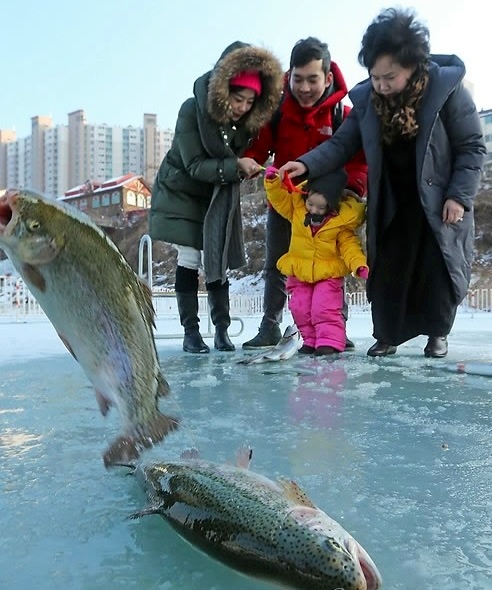افتتاح المهرجان الشتوي في (هونغ تشون) الكورية لصيد الأسماك
