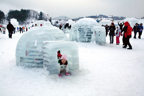 جليد وصيد وسباحة في مهرجانات الشتاء الكورية