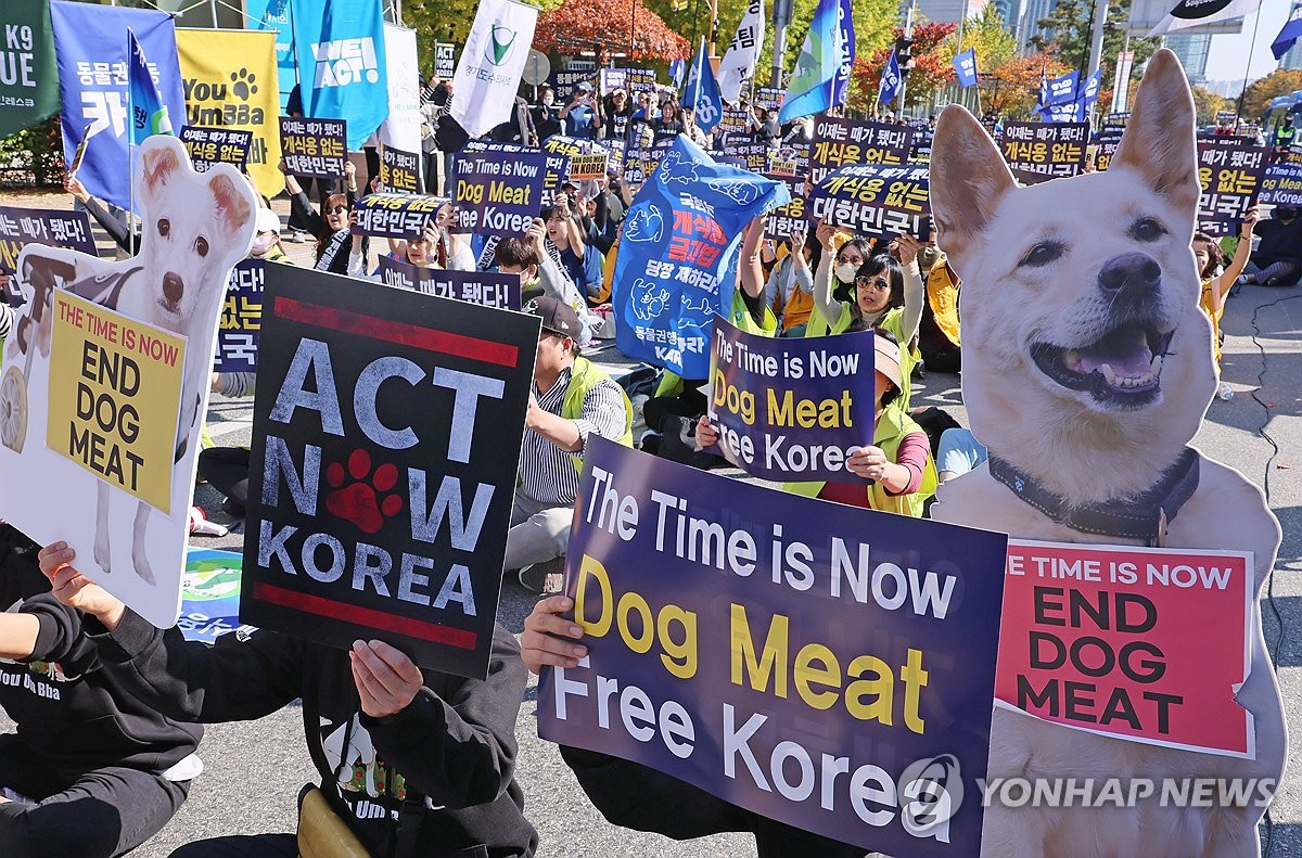 البرلمان الكوري الجنوبي يقر حظر استهلاك لحوم الكلاب